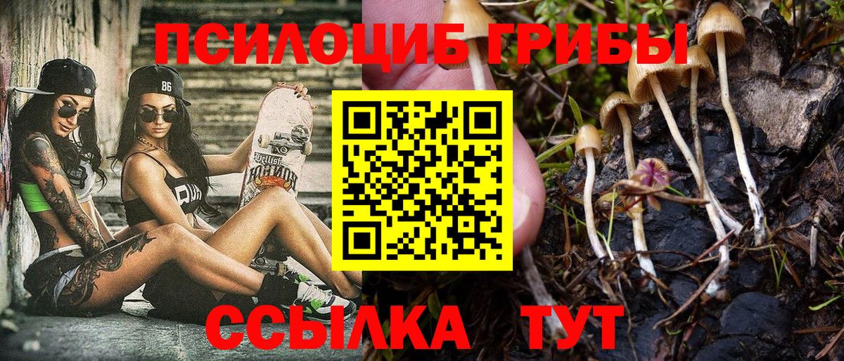 Гагарин  Псилоцибиновые грибы ЛСД  Вход с VPN  Галлюциногенные грибы мухоморы 